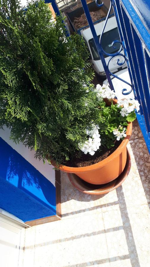 Villa Maria Vilches Екстер'єр фото